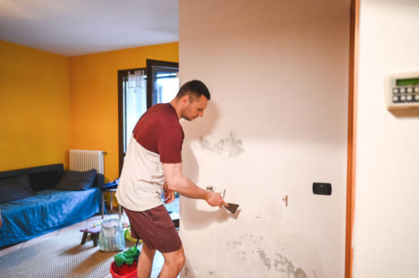 Best Emergency Mold Remediation in Magnolia, NJ